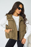 Fall & Winter Street Solid Color Hooded Zip-Up Thermal Vest