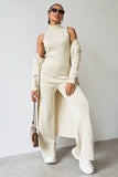 Women's Beige Fall & Winter Knit Turtle Neck Slim Tank & Wide Leg Trousers With Open-Front Long Cardigan Three-Piece Set